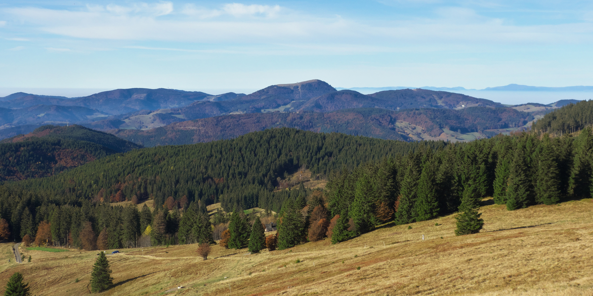 Naturpark Südschwarzwald