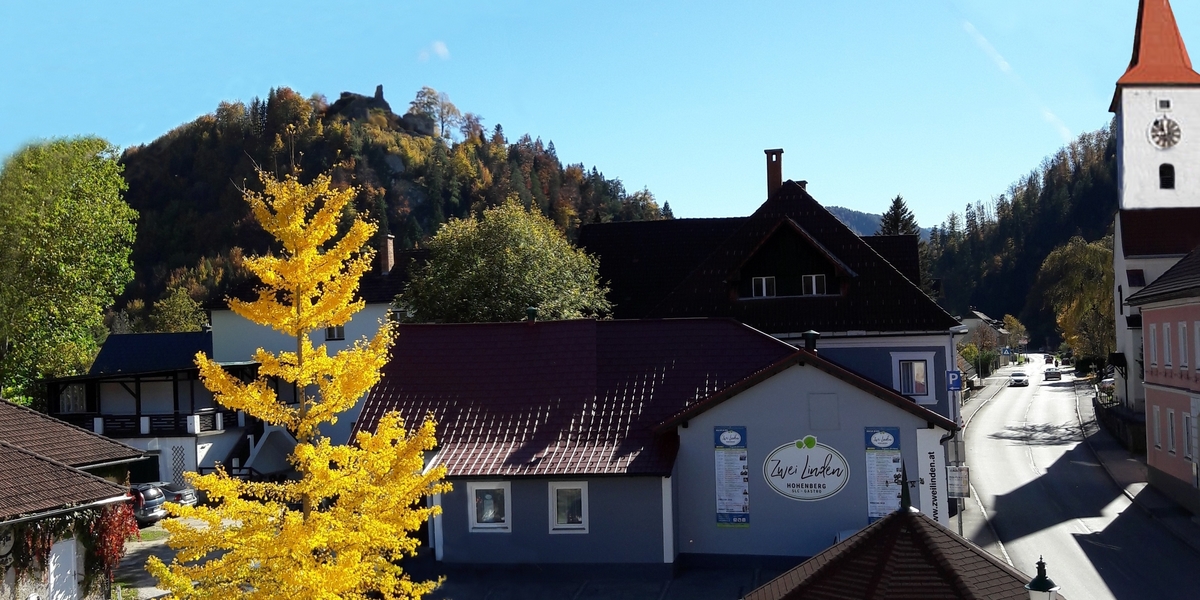 Selfness Gasthof Zwei Linden