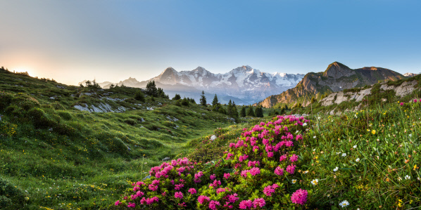 Berner Oberland