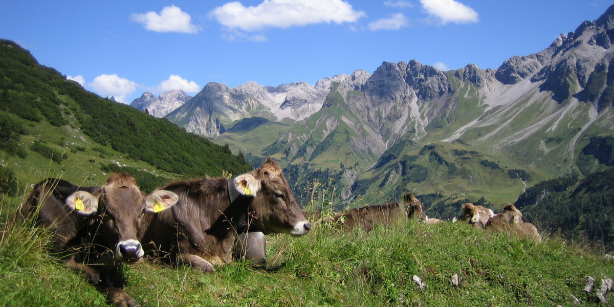 Mir Allgäuer - Urlaub auf dem Bauernhof e. V.