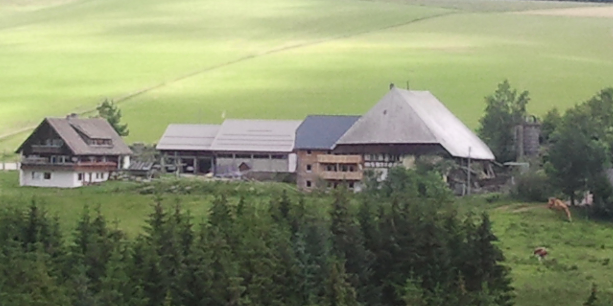 Farnbauernhof