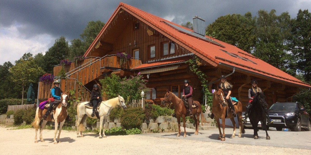 Arabian-Harmony Rai Reitstall