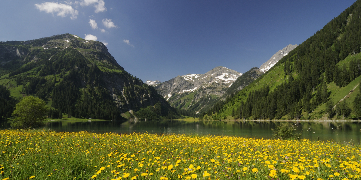 Vilsalpsee
