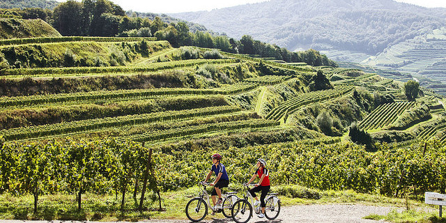 Naturgarten Kaiserstuhl