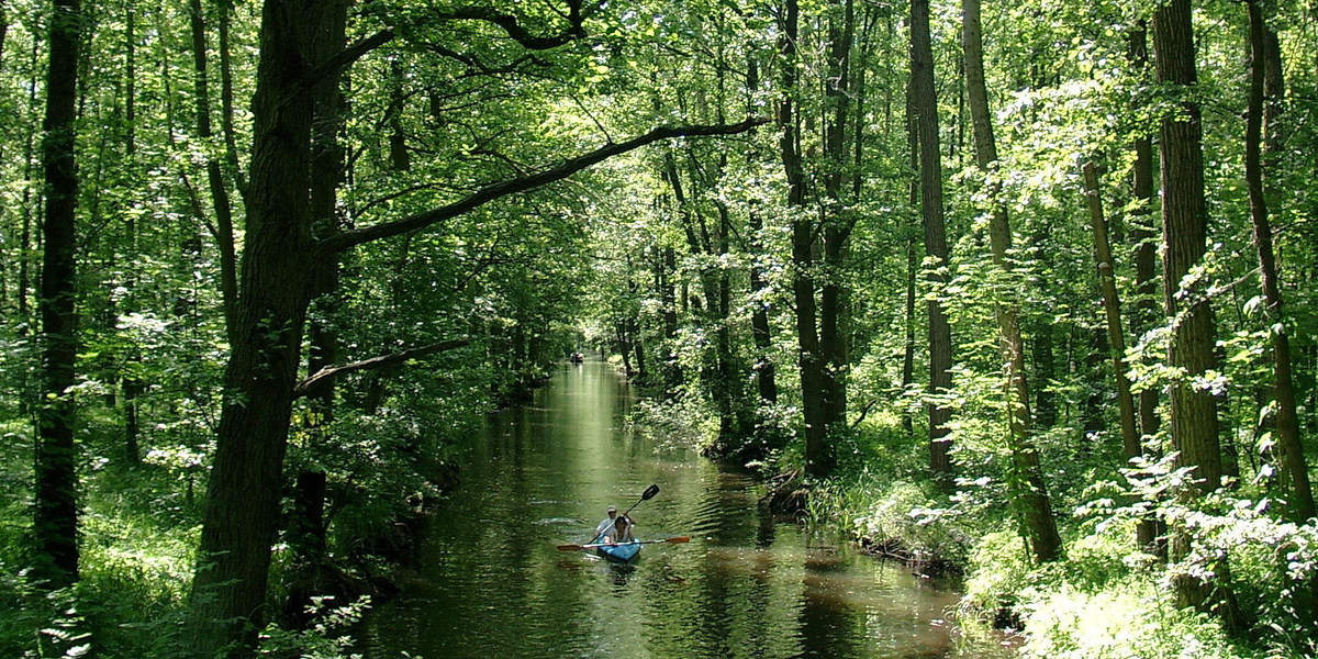 Spreewald