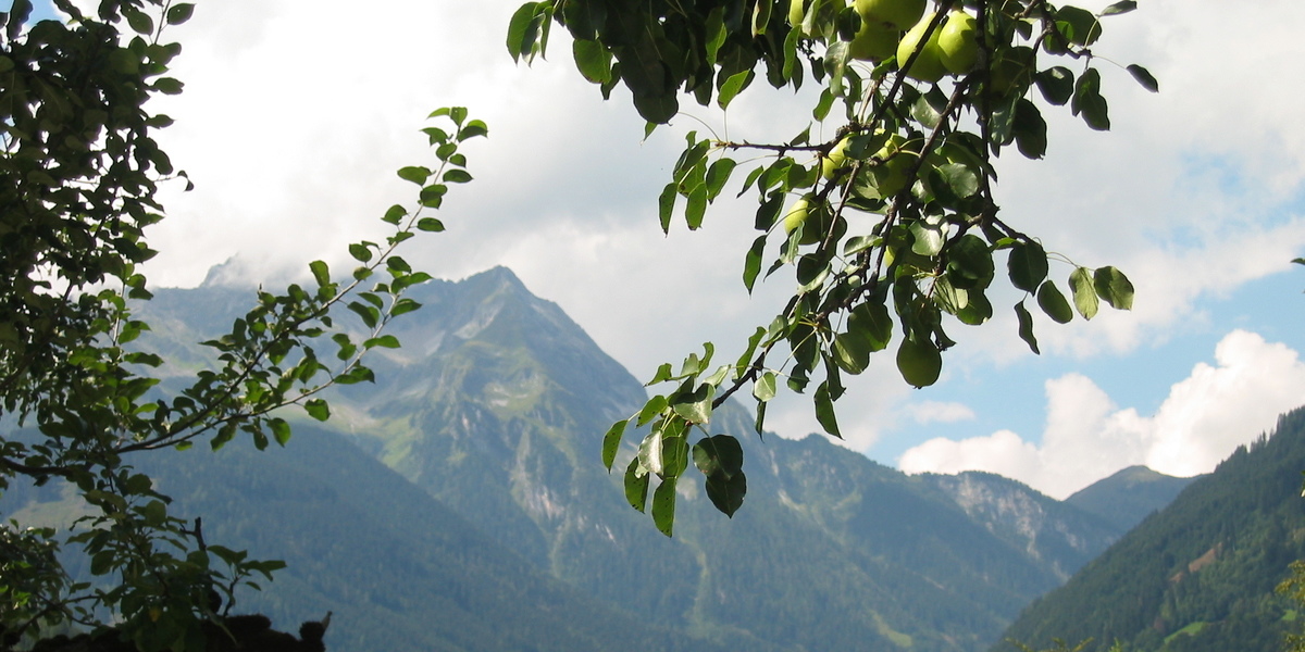 Mayrhofen-Hippach