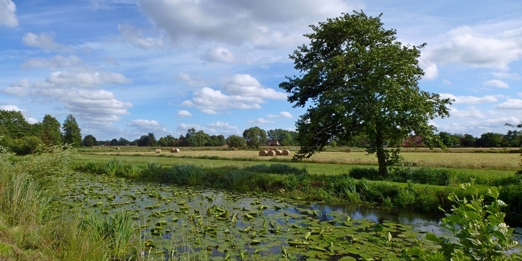 Ostfriesland