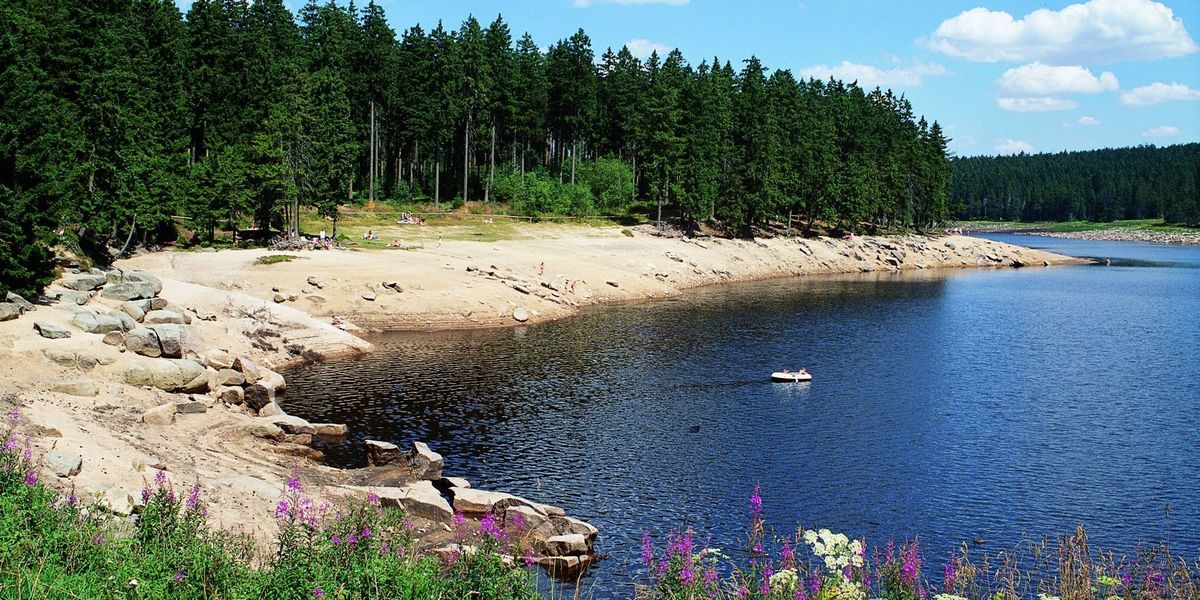 Harz