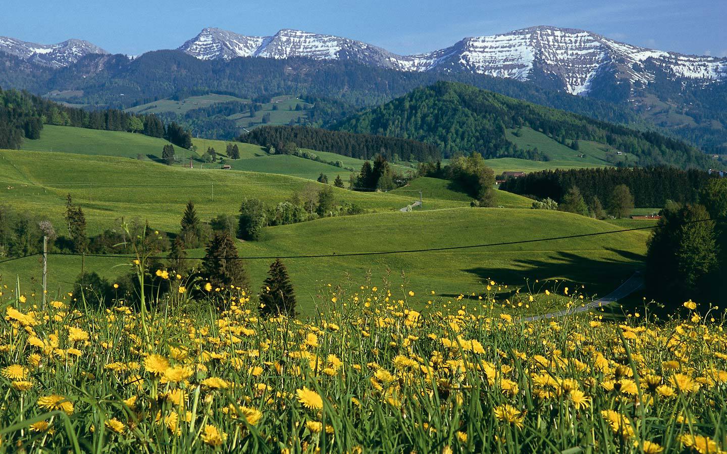 MaierhöfenGrüß Gott Gastfreund