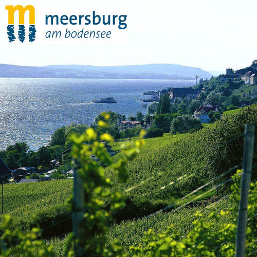 Weinberge Meersburg