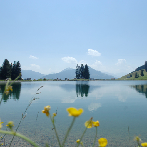 Filzalmsee