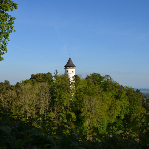 Turm Hohenbodman