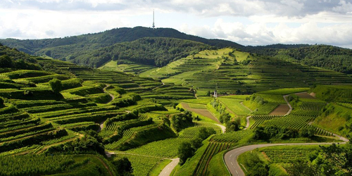 Vogtsburg im Kaiserstuhl