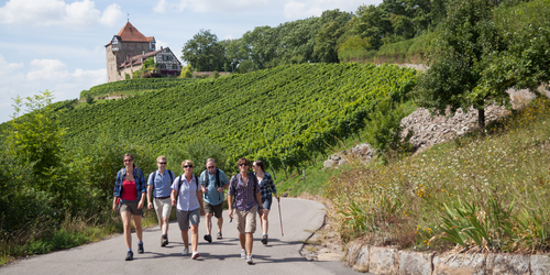 Wandern im Heilbronner Land