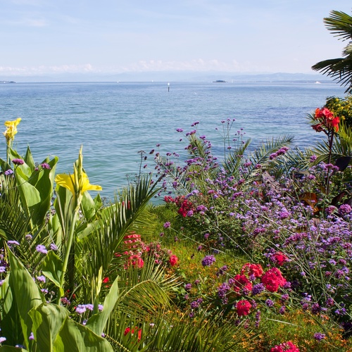 Insel Mainau