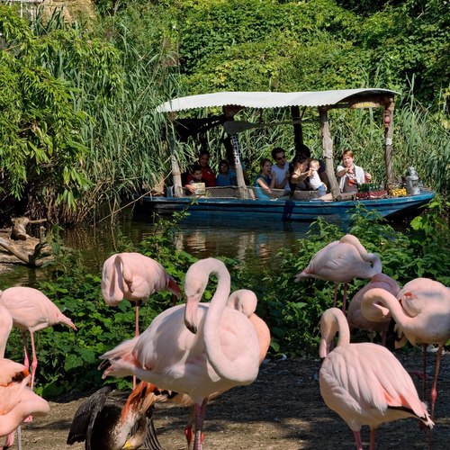 36+ großartig Bilder Zoologischer Garten Hannover Der