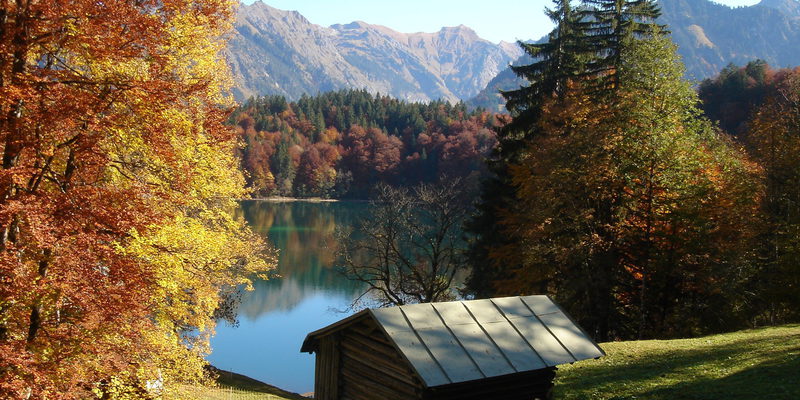 Rund um den Freibergsee