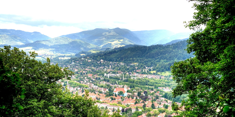 Freiburg im Breisgau Sommer