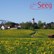 Seeg