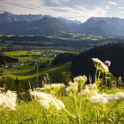 Alpengruß & Leindlhof