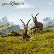 Graubünden