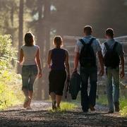 Wandern durch die Sauerländer Wälder